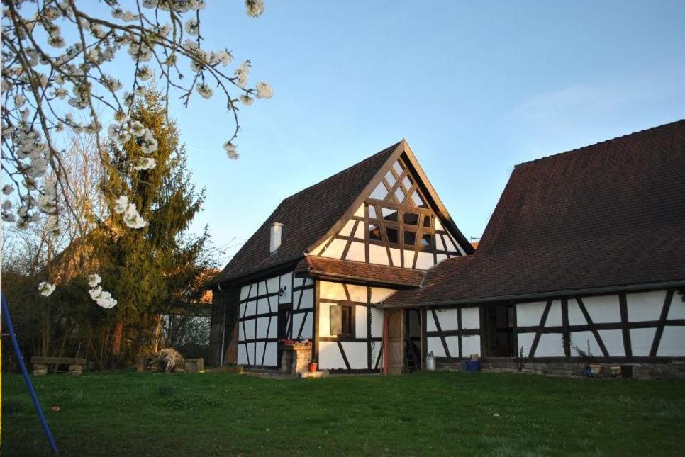 Maison Pittoresque Hermerswiller エクステリア 写真