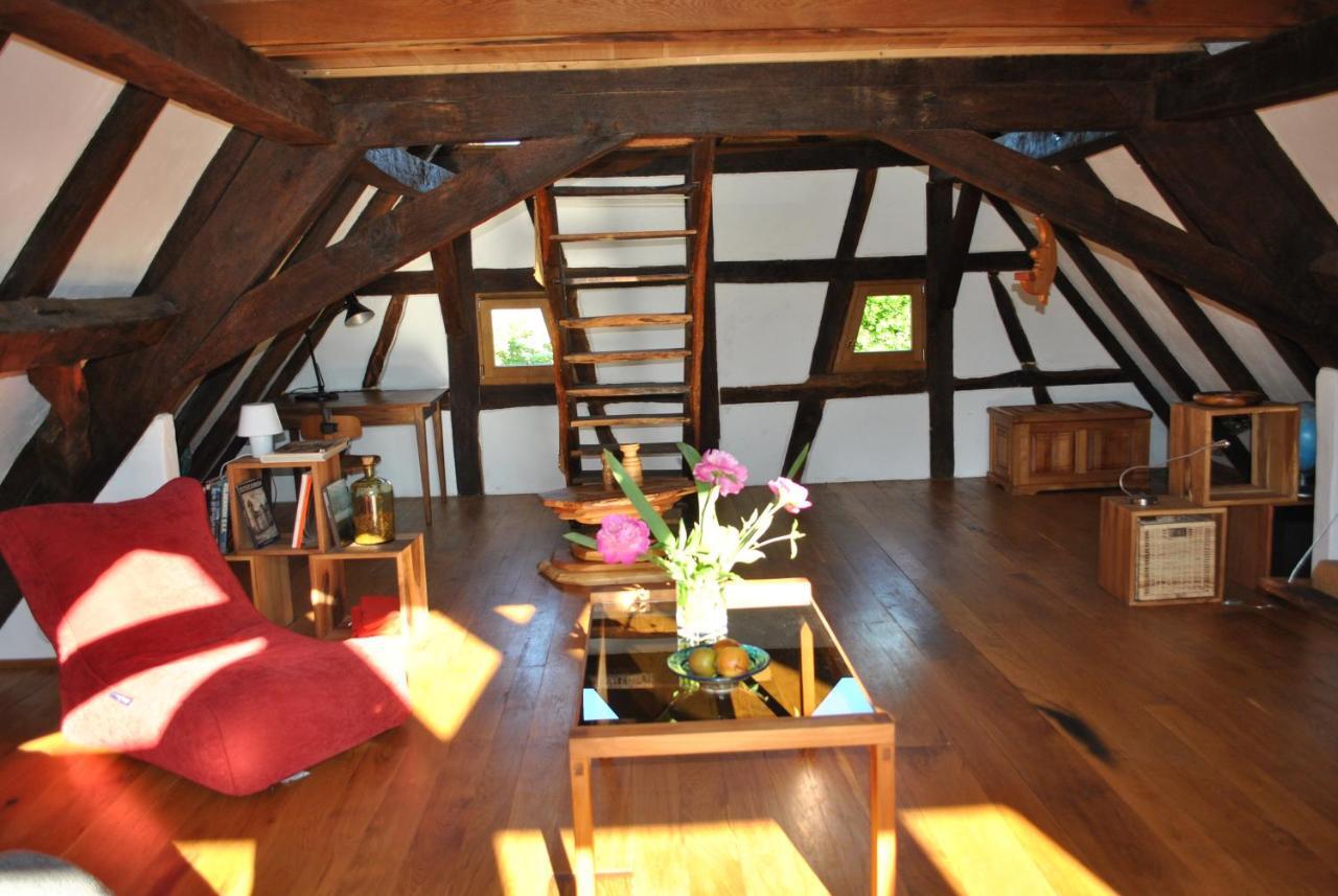 Maison Pittoresque Hermerswiller エクステリア 写真